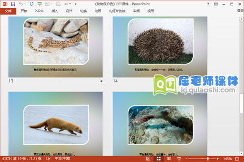 大班科学课件《动物保护色》PPT课件教案图片5