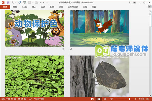 大班科学课件《动物保护色》PPT课件教案图片2