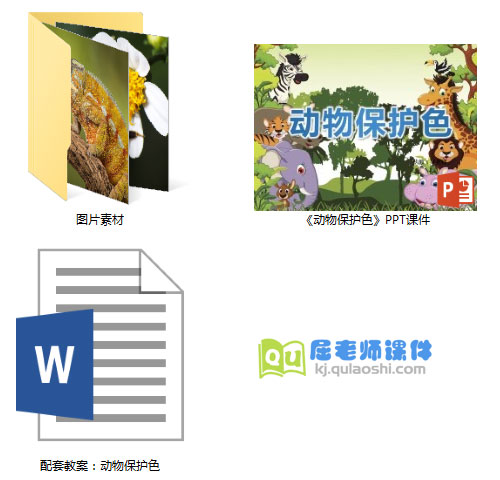 《动物保护色》PPT课件教案图片