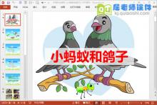 中班社会课件《小蚂蚁和鸽子》PPT课件下载