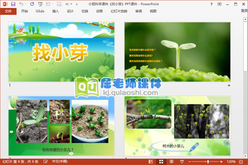 小班科学课件《找小芽》PPT课件2