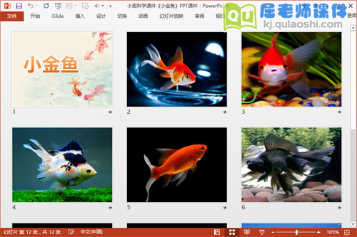 小班科学课件《小金鱼》PPT课件2