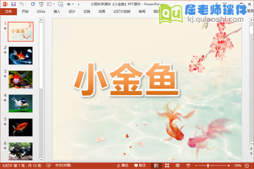 小班科学课件《小金鱼》PPT课件