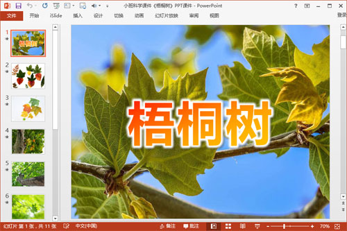 小班科学课件《梧桐树》PPT课件