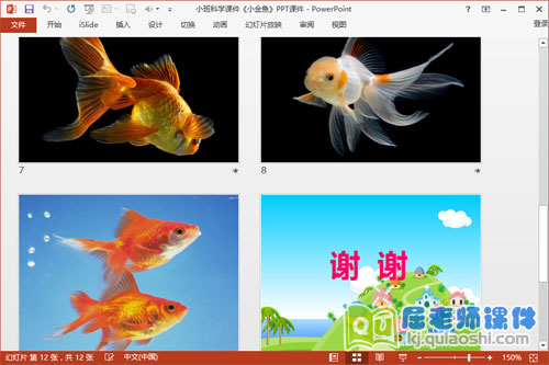 小班科学课件《小金鱼》PPT课件3