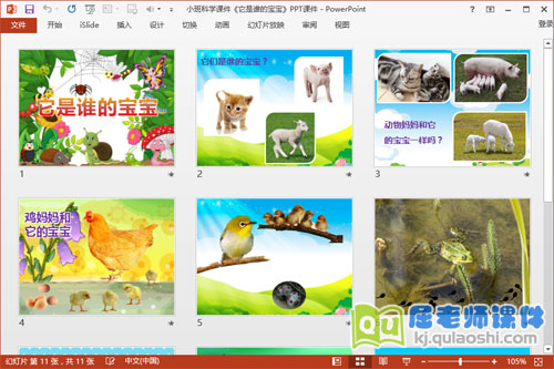 小班科学课件《它是谁的宝宝》PPT课件2