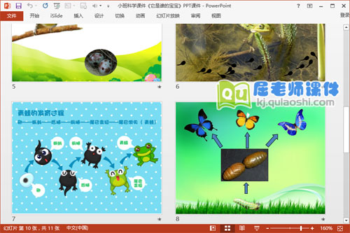 小班科学课件《它是谁的宝宝》PPT课件3