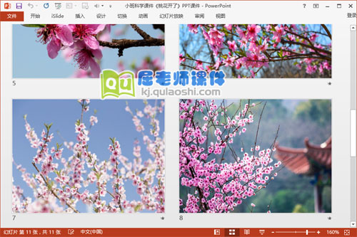 小班科学课件《桃花开了》PPT课件3