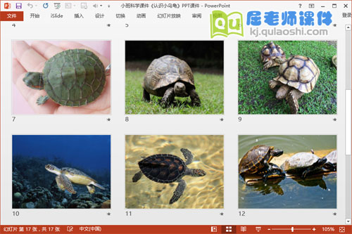 小班科学课件《认识小乌龟》PPT课件3