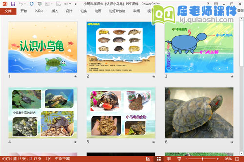 小班科学课件《认识小乌龟》PPT课件2