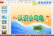 小班科学课件《认识小乌龟》PPT课件下载