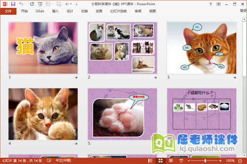 小班科学课件《猫》PPT课件2