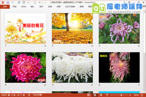 小班科学课件《美丽的菊花》PPT课件2