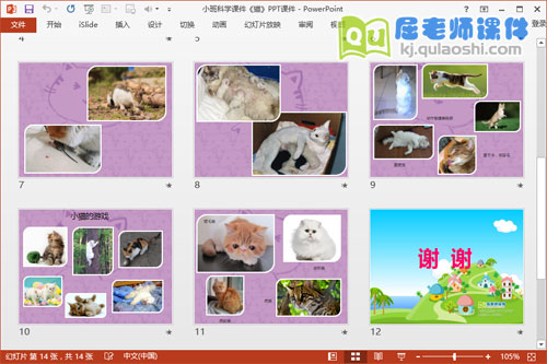 小班科学课件《猫》PPT课件3