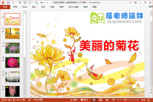 小班科学课件《美丽的菊花》PPT课件