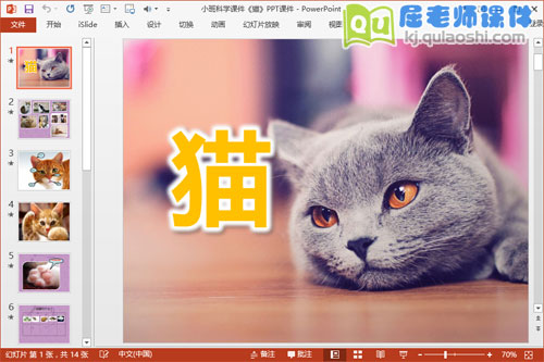 小班科学课件《猫》PPT课件