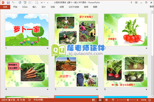 小班科学课件《萝卜一家》PPT课件2