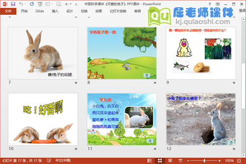 中班科学课件《可爱的兔子》PPT课件3