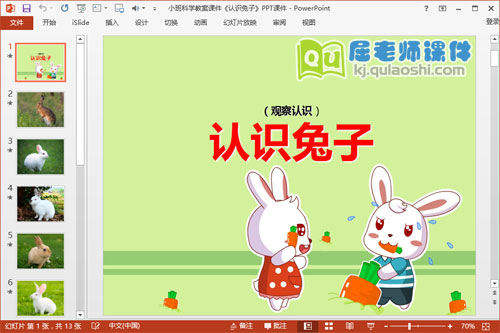 小班科学教案课件《认识兔子》PPT课件