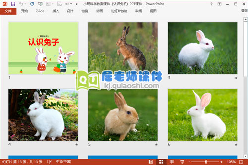 小班科学教案课件《认识兔子》PPT课件2
