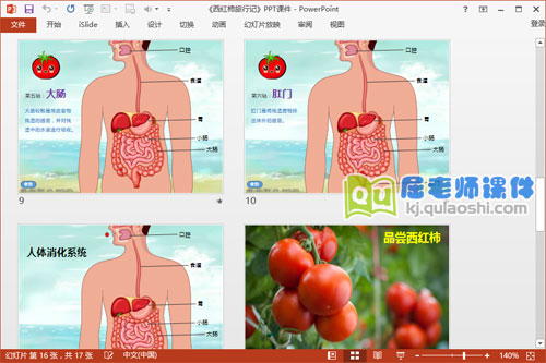 大班科学课件《西红柿旅行记》PPT课件教案学具图片4