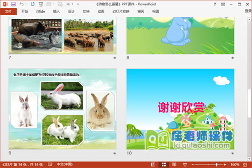 中班科学课件《动物怎么避暑》PPT课件教案音效动画4