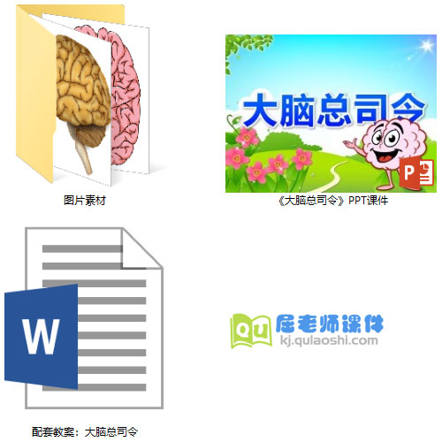 《大脑总司令》PPT课件教案图片