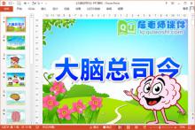 大班健康课件《大脑总司令》PPT课件教案图片