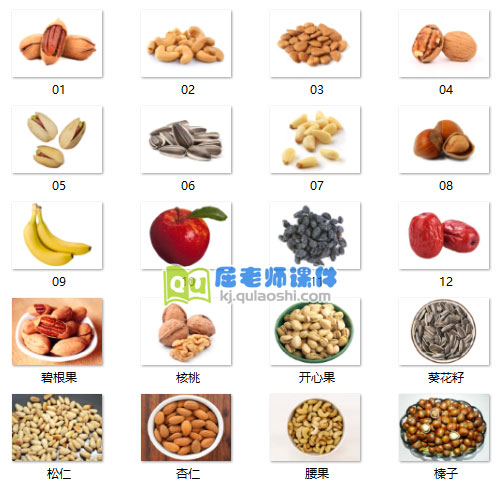《好吃的坚果》图片