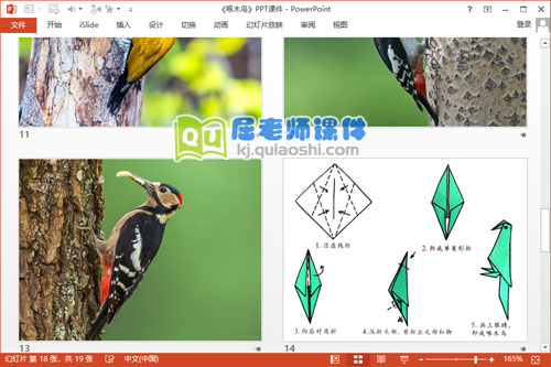 中班美术课件《啄木鸟》PPT课件教案音乐4