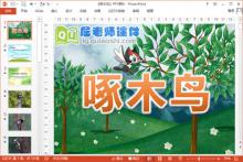 中班美术课件《啄木鸟》PPT课件教案音乐