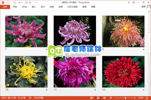 大班美术课件《菊花》PPT课件教案3