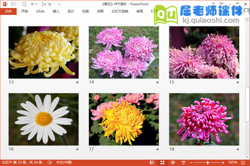 大班美术课件《菊花》PPT课件教案4