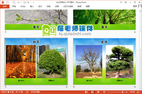 大班科学课件《认识树叶》PPT课件教案3