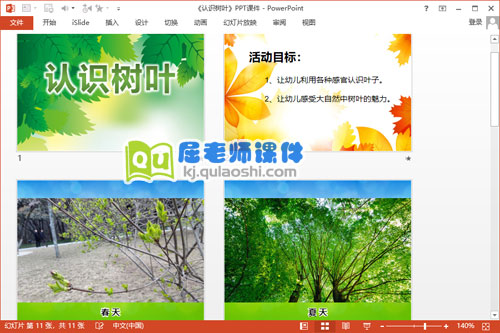 大班科学课件《认识树叶》PPT课件教案2