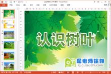 大班科学课件《认识树叶》PPT课件教案下载