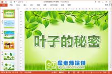 小班科学课件《叶子的秘密》PPT课件教案音乐