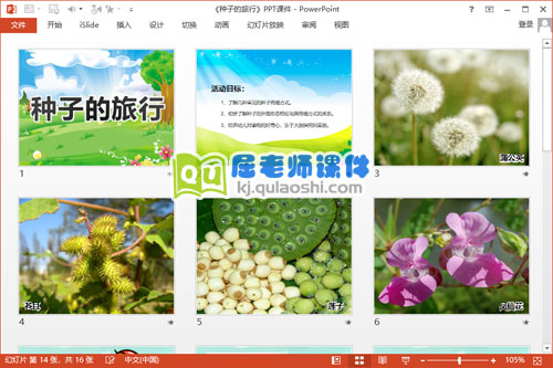 大班科学课件《种子的旅行》PPT课件教案图片2