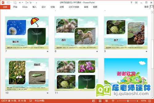 大班科学课件《种子的旅行》PPT课件教案图片3