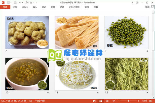 大班科学课件《奇妙的种子》PPT课件教案3