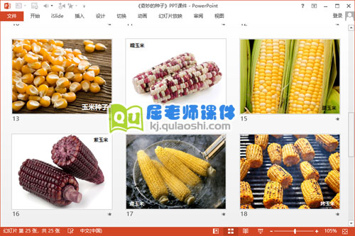 大班科学课件《奇妙的种子》PPT课件教案4