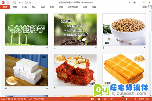大班科学课件《奇妙的种子》PPT课件教案2