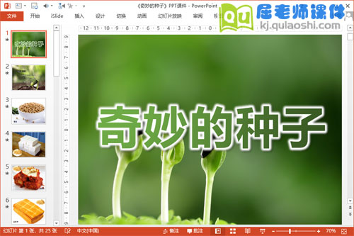大班科学课件《奇妙的种子》PPT课件教案