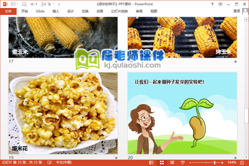 大班科学课件《奇妙的种子》PPT课件教案5