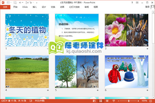 中班科学课件《冬天的植物》PPT课件教案2