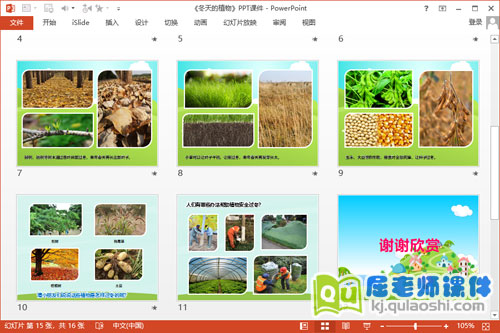 中班科学课件《冬天的植物》PPT课件教案3