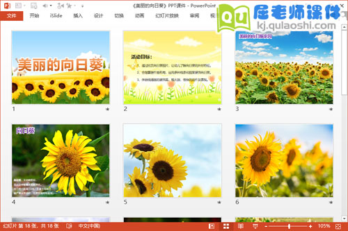 大班美术线描画课件《美丽的向日葵》PPT课件教案2