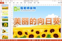 大班美术线描画课件《美丽的向日葵》PPT课件教案下载