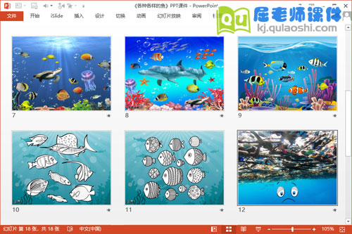 大班美术线描画课件《各种各样的鱼》PPT课件教案图片3