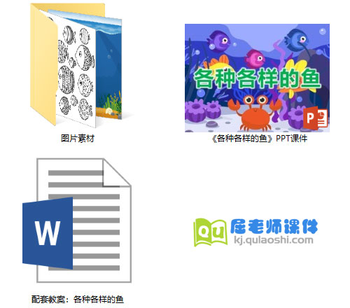 《各种各样的鱼》PPT课件教案图片